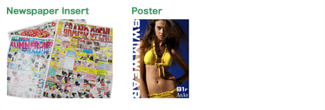 Newspaper Insert / Poster